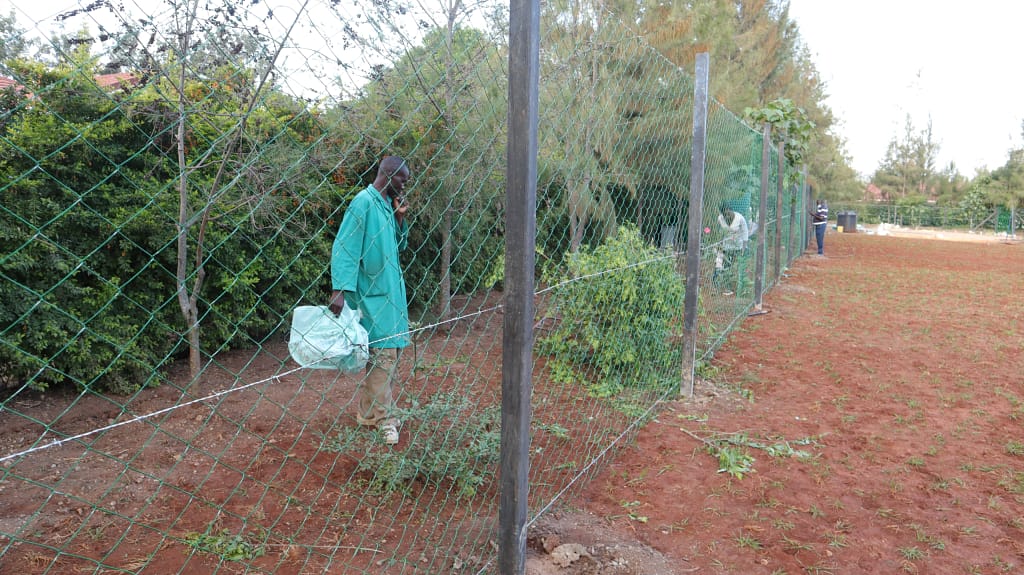 Timao Plastic posts