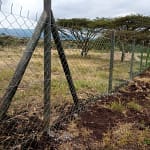 Recycled plastic poles Kenya