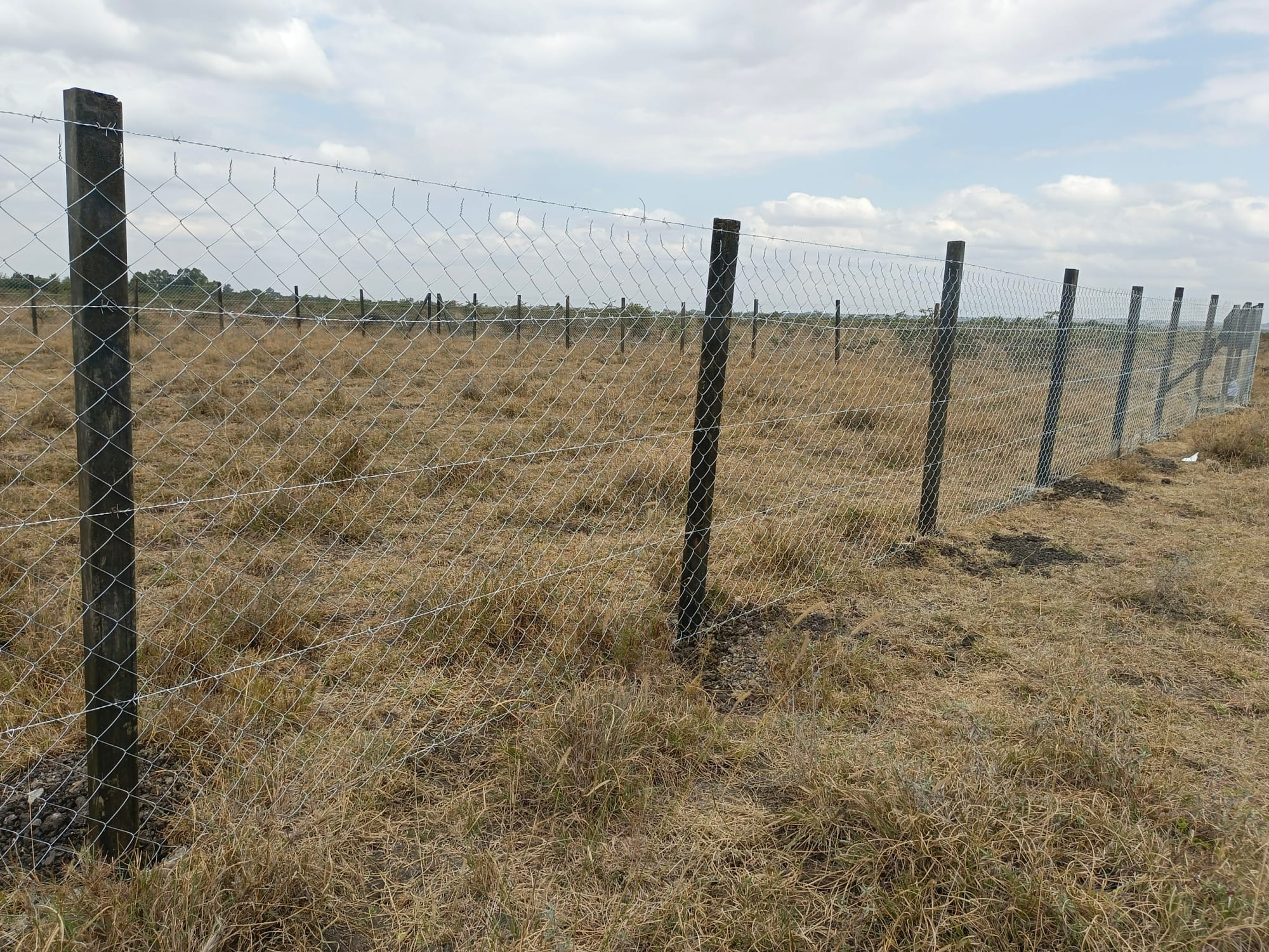 Solid plastic posts with chain link fence