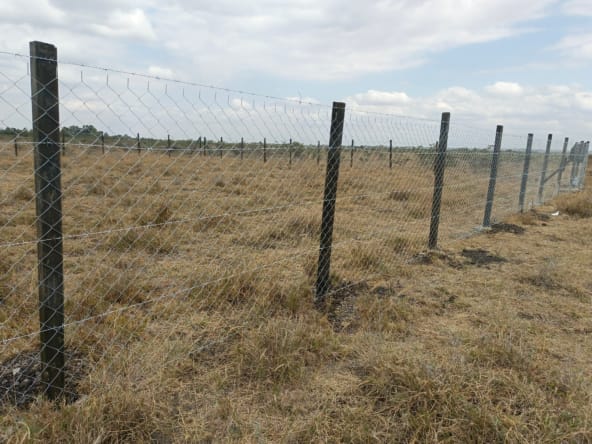 Solid plastic posts with chain link fence